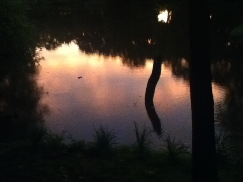 Leaked roxistarbaby header onlyfans leaked