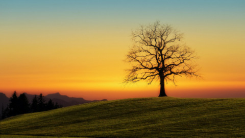 Leaked rsell_wild header onlyfans leaked