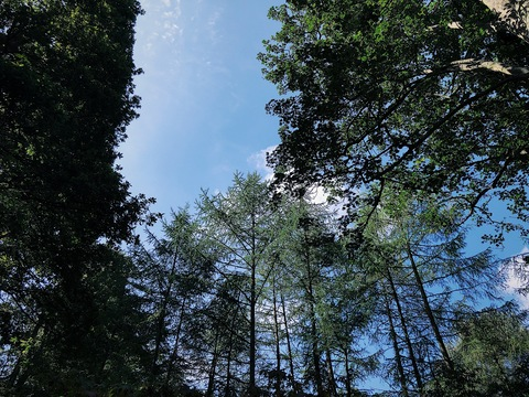 Leaked samara_xo header onlyfans leaked