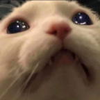 Leaked samsalemm onlyfans leaked