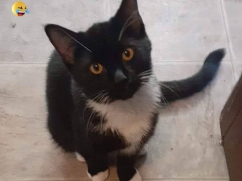 Leaked santana2sturdy header onlyfans leaked