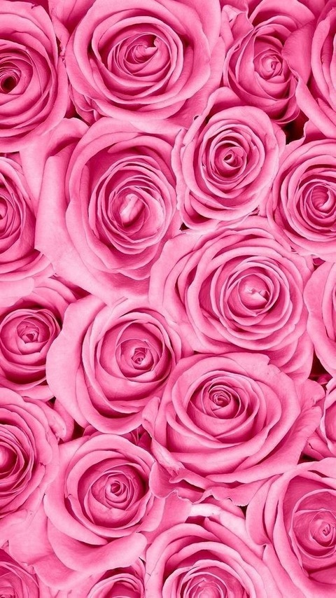 Leaked sassysnoozie header onlyfans leaked