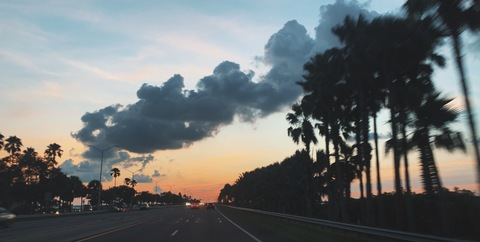 Leaked savvyyyy header onlyfans leaked