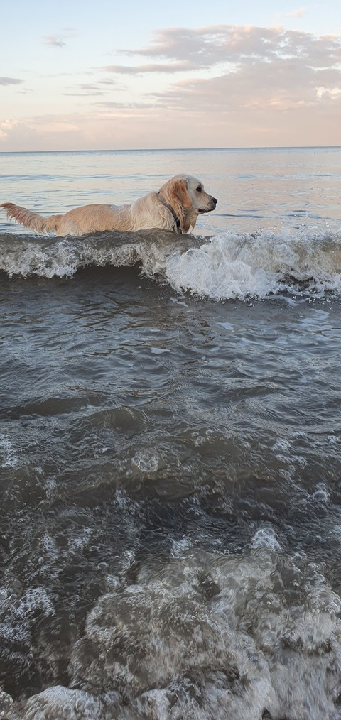 Leaked scaleyquinn header onlyfans leaked