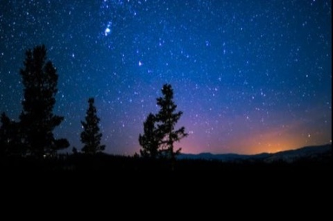 Leaked screamgirlpr header onlyfans leaked