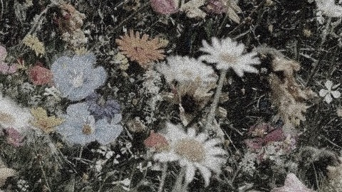 Leaked scrimmyboo header onlyfans leaked