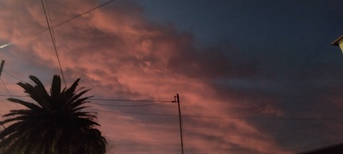 Leaked selenebutterfly header onlyfans leaked