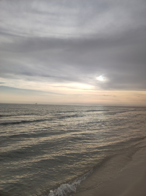 Leaked ses_van header onlyfans leaked