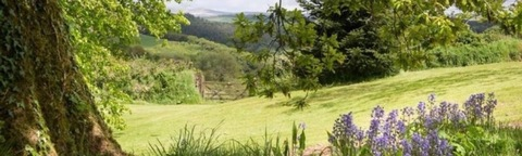 Leaked shessanangel header onlyfans leaked