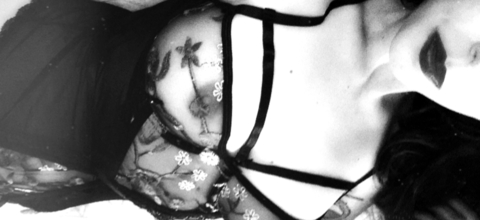 Leaked shylohvex header onlyfans leaked