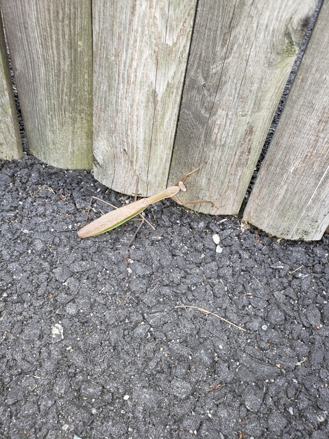 Leaked siteuser header onlyfans leaked