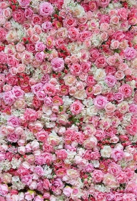 Leaked skyleefae header onlyfans leaked