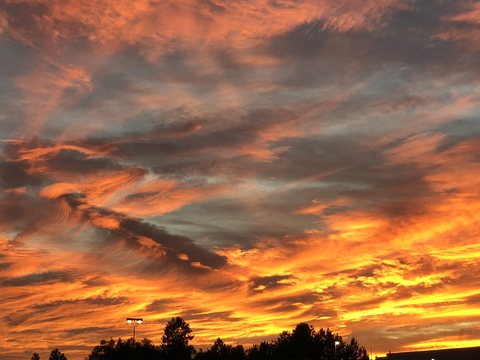 Leaked slappyxxpickle header onlyfans leaked