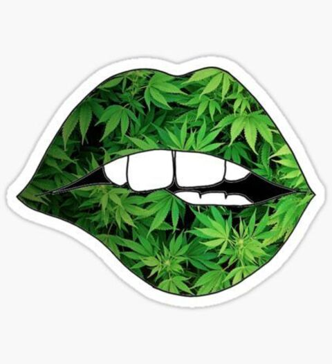 Leaked snoopkitten420 header onlyfans leaked