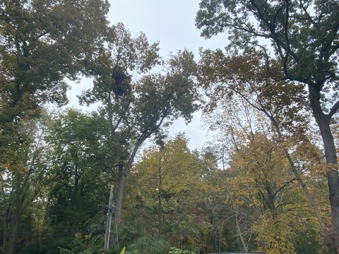 Leaked sonofawizard42 header onlyfans leaked