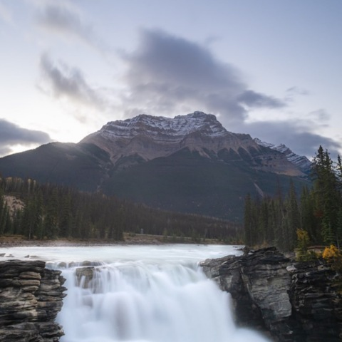 Leaked spicyellis header onlyfans leaked