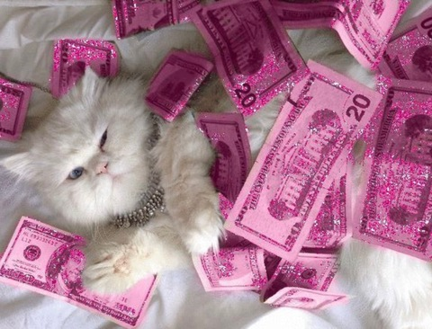 Leaked stacy_crtx header onlyfans leaked