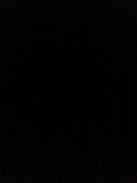 Leaked steph_sangstaaa header onlyfans leaked