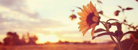 Leaked stevierhodes header onlyfans leaked