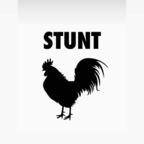 stunttcock (Stuntcock) OnlyFans Leaked Content 

 profile picture