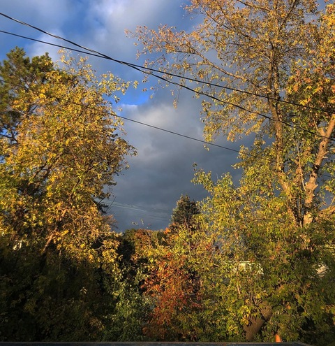 Leaked sucksyourassmar header onlyfans leaked