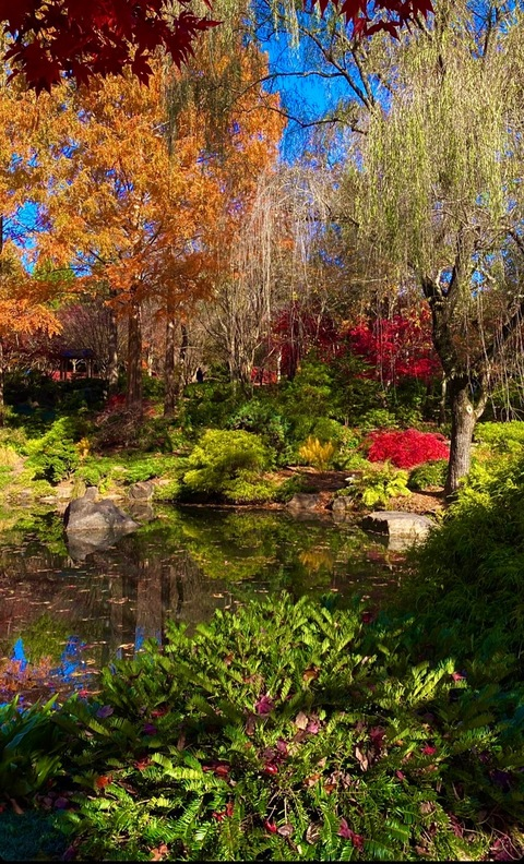 Leaked sugatitsx header onlyfans leaked