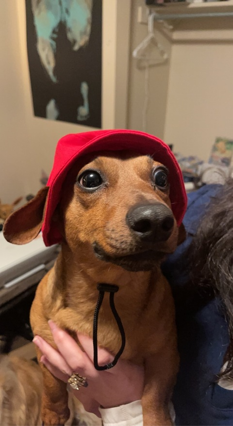 Leaked sumsumm header onlyfans leaked