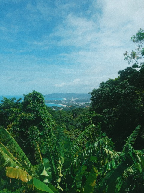 Leaked sunflowerbebe header onlyfans leaked