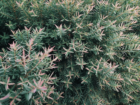 Leaked super_kry header onlyfans leaked