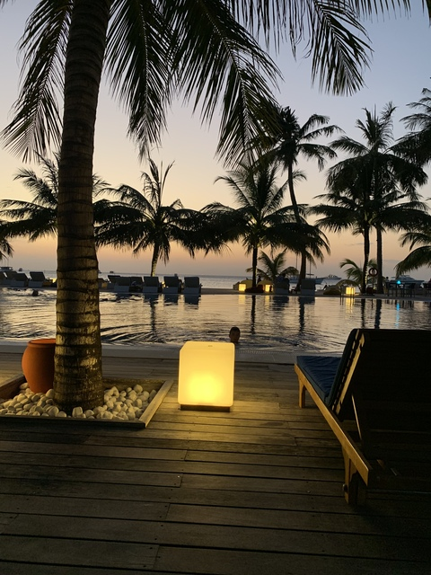 Leaked svetta header onlyfans leaked