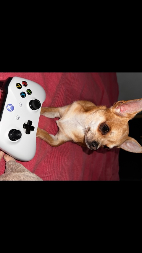 Leaked sweet_justin96 header onlyfans leaked