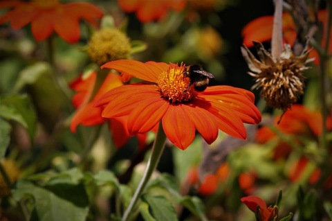 Leaked sweetcherrypie18 header onlyfans leaked