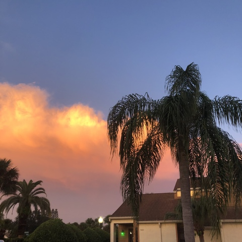 Leaked tabbithebaddie header onlyfans leaked