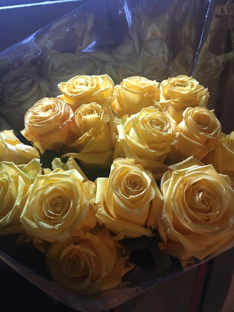 Leaked tafleur header onlyfans leaked