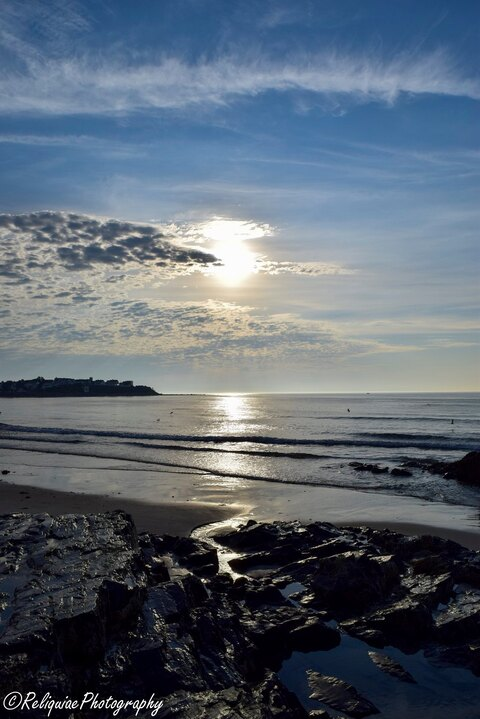 Leaked tailsgoesrawr19 header onlyfans leaked