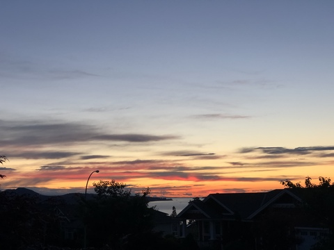 Leaked tashafraser18 header onlyfans leaked