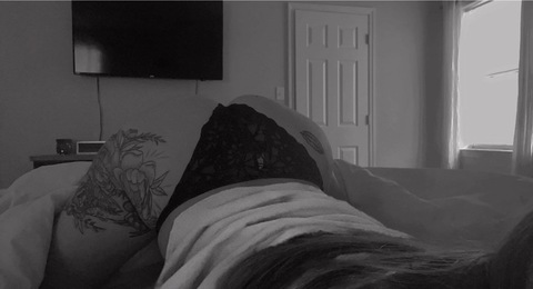 Leaked tastylexii header onlyfans leaked