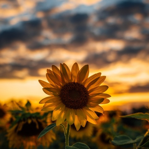 Leaked tattedenvy819 header onlyfans leaked