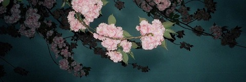 Leaked tatumchristinetv header onlyfans leaked