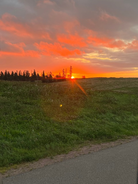 Leaked taylor_kate99vip header onlyfans leaked