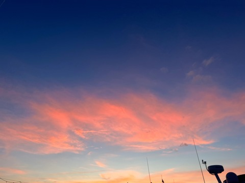 Leaked tayloraddison header onlyfans leaked