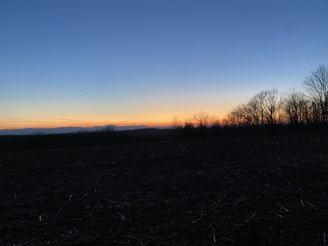 Leaked taytay518 header onlyfans leaked