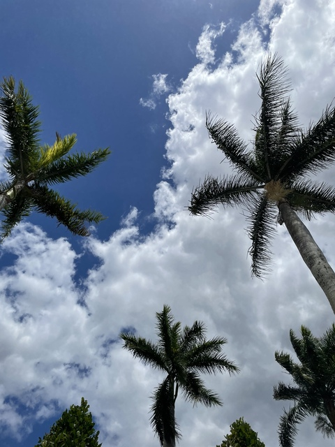 Leaked taytoncampbell header onlyfans leaked