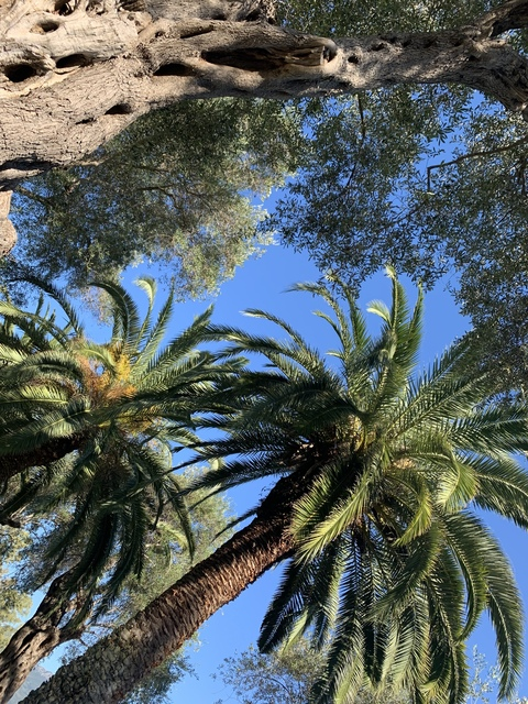 Leaked thatgirl1000 header onlyfans leaked