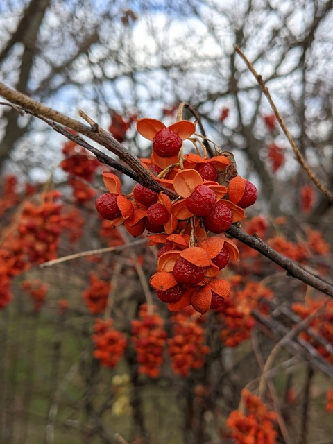 Leaked thelovelylady header onlyfans leaked