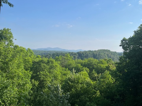 Leaked thestickiiivicki header onlyfans leaked