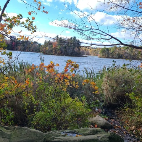 thicccroundbustybbw OnlyFans Leak - getonly4fans.com