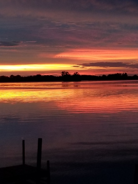 Leaked tinyhawk header onlyfans leaked