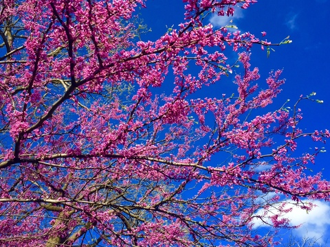 Leaked toesrosie21 header onlyfans leaked