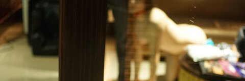 Leaked trainerofrose header onlyfans leaked